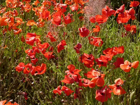 2010-07 Chateau-Gaillard