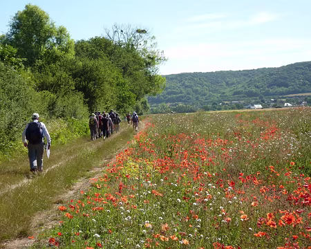PXL001 L'intérêt ...