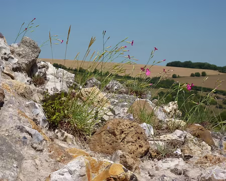 PXL009 Epaisseur jusqu'à 5 mètres