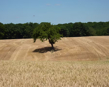 PXL017 Terre nourricière
