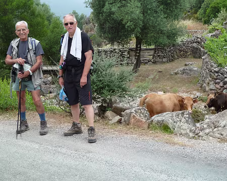 PXL019 TUARELLI / GALERIA : pasteurs de troupeau - mardi 6 juillet 2010 matin