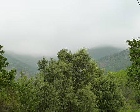 PXL028 Brumes et légendes