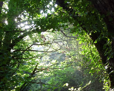 PXL050 GALERIA / PORTO : la route sera longue... et chaude - mercredi 7 juillet 2010 matin, encore à l'ombre