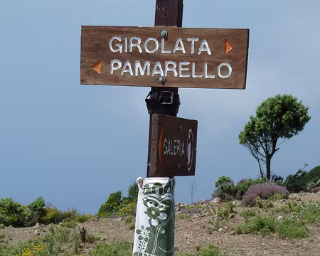 PXL053 Au col, après pique nique sous un arbre majestueux de la crête
