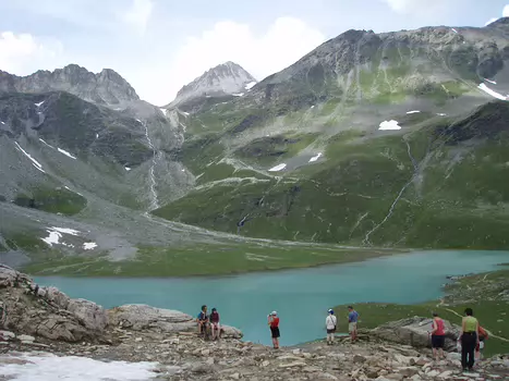 2010-07 Fleurs de la Vanoise