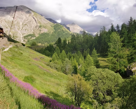 Haute Ubaye, Fouillouse à Fouillouse