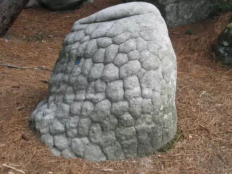 2010-08 Fontainebleau Sud