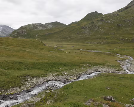 IMG19918 Ruisseau des Balmes, et le Plan, dans le vallon du Clou