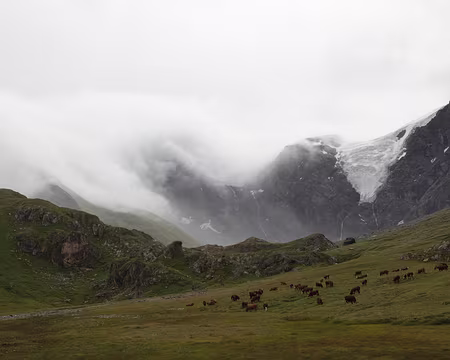 IMG19922 Glacier Supérieur des Balmes ou de Vaudet