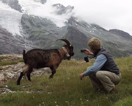 IMG19944 Bernadette traque le bouc !