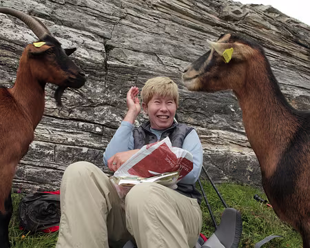 IMG19952 Mais elles sont un peu trop envahissantes !