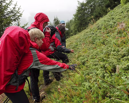 IMG20146 Pause gourmande !