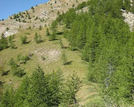 202-DSCN0864 Pas de problème, c'est tout droit