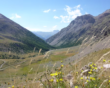 312-P1010447 Retour dans le vallon de la Moutière