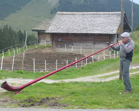 PXL024z881 Un cor des Alpes (en fibre de carbone et démontable)
