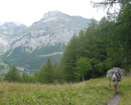 PXL031 Au-dessus de Derborence.