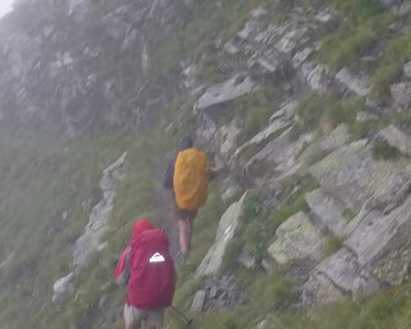 PXL055 Copieuse rincée sur la vire de Bella Crêta.