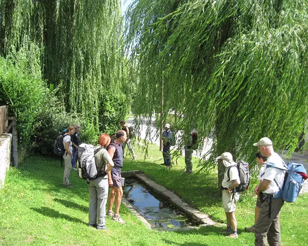 PXL015 La Fontaine du Saule