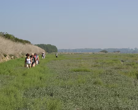 IMG_3456 Incursion marais !....