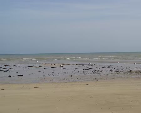 IMG_3479 Les gardiens de la mer