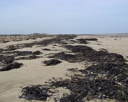 IMG_3486 Plages chargées d'histoire