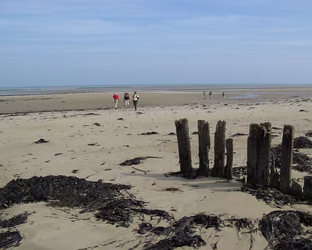 IMG_3487 A présent douceur de vivre