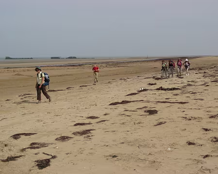 IMG_3490 Vestiges du débarquement