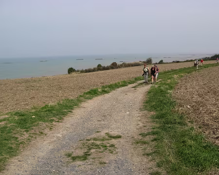 IMG_3492 Le petit chemin