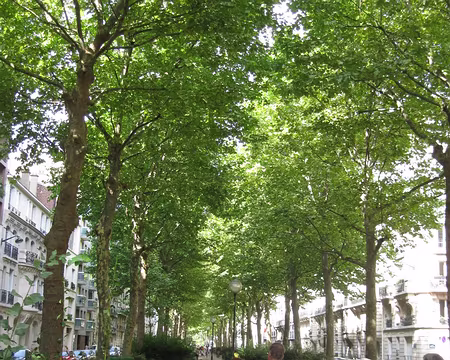 PXL022 Allée Samuel Beckett, Prix Nobel de littérature irlandais