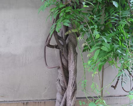 PXL065 Rue des Thermopyles