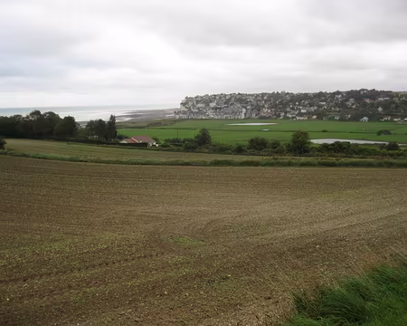 PXL017 Criel-Plage, les prés salés