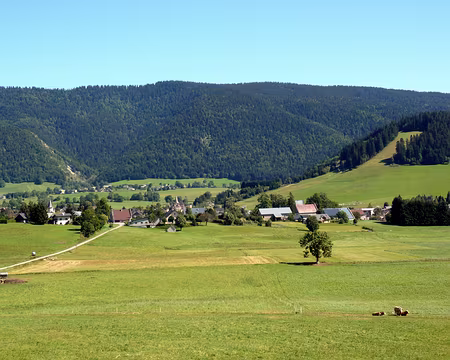 PXL023 Protection de la montagne, respect de la faune et de la flore, l'encadrant joue un rôle important en sensibilisant.