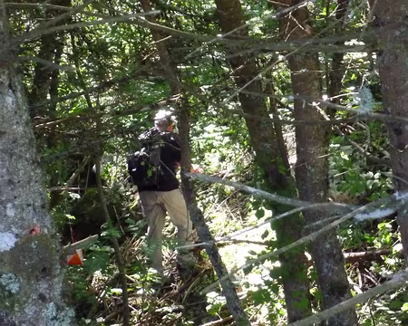 PXL027 En bas à gauche, magnifique spécimen de 
