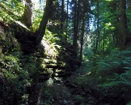 PXL031 Le canyon fatal !