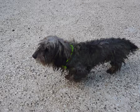 PXL039 Nouveau participant