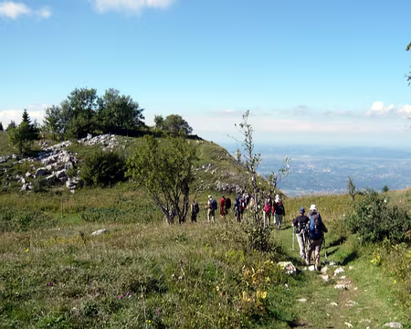 PXL071 Conduite de groupe.