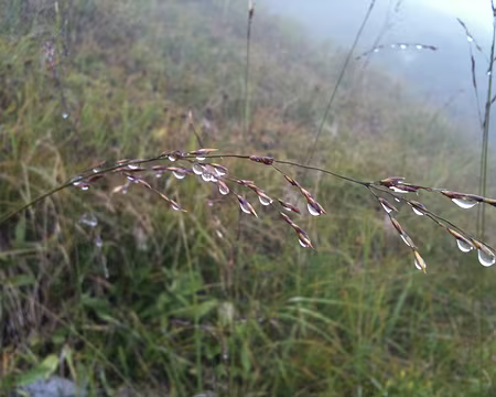 IMG_0278 non, il ne pleut pas, on est juste dans le nuage