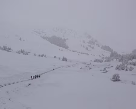 PXL011 Paysage d'hiver