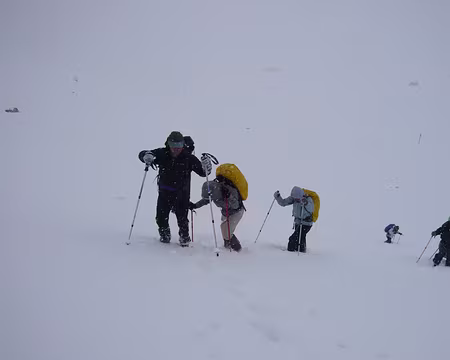 PXL017 Juste sous le col