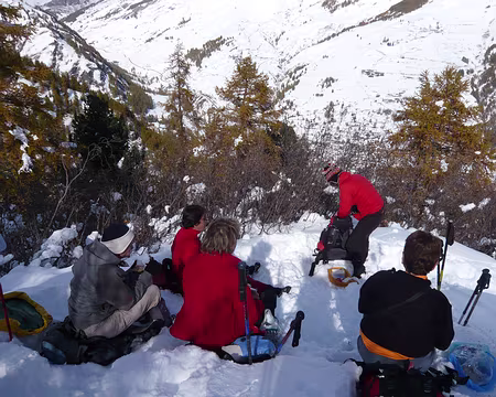 PXL100 Pique-nique au frais