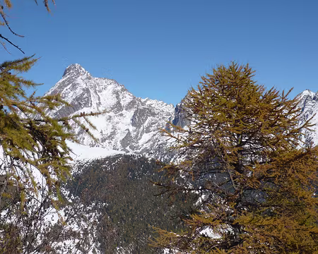 PXL102 Toujours le Viso