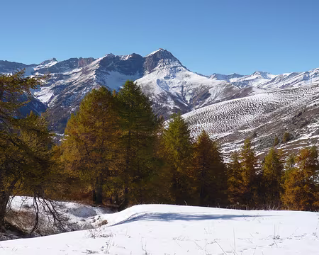 PXL134 Descente sur Elva par la forêt