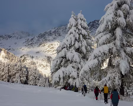 P1050223 on nous avait promis les couleurs d'automne...