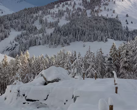 P1050224 on a les couleurs d'hiver !