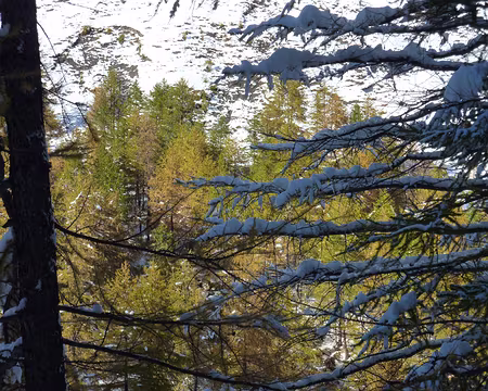 P1050263 finalement sous la neige,