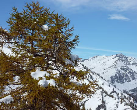 P1050288 on suit la pancarte qui avait raison !