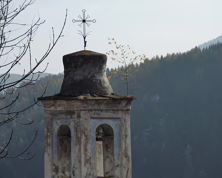 P1050371 les arbres poussent vraiment n'importe où...