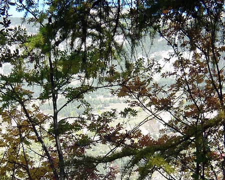 PXL001 Dans les bois de Gambarel