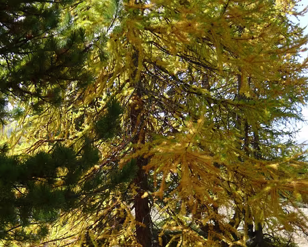 PXL002 Christiane et Claudine