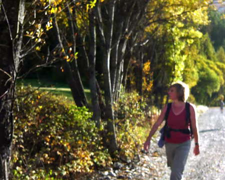 PXL023 Le long du Guil